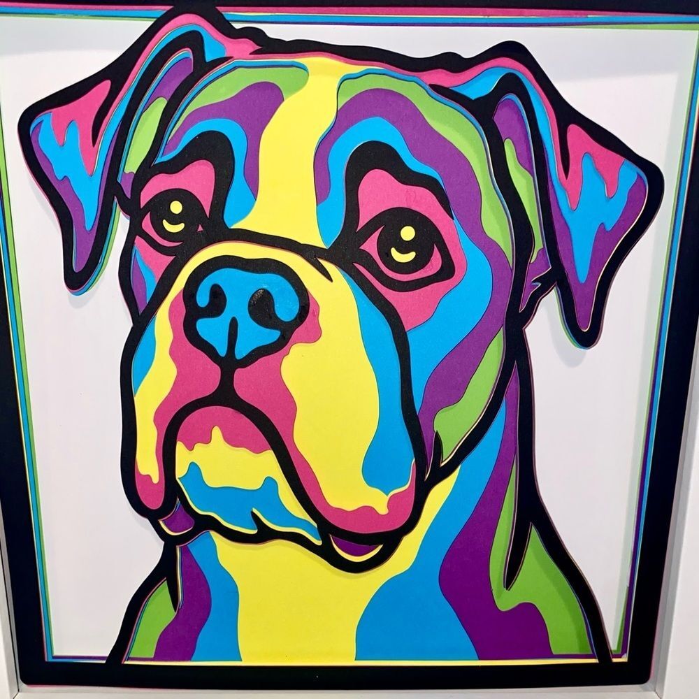 3D Boxer Multicolor Shadowbox - Picture 7 of 8